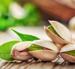 فروش عمده پسته مرغوب صادراتی ، فروش ویژه پسته