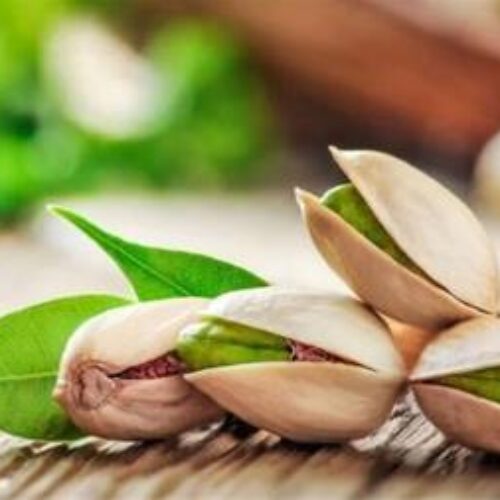فروش عمده پسته مرغوب صادراتی ، فروش ویژه پسته