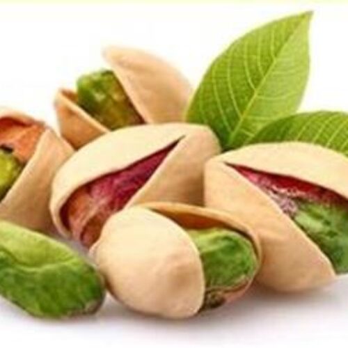 فروش عمده پسته مرغوب صادراتی ، فروش ویژه پسته