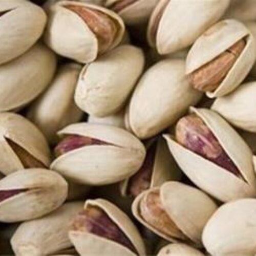 فروش عمده پسته مرغوب صادراتی ، فروش ویژه پسته