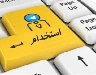 استخدام بازاریاب اینترنتی از منزل