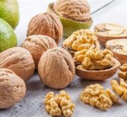 فروش نهال گردو خوشه ای فرانکت
