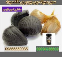 فروش سیر سیاه و فروش قهوه گانودرما در سراسر کشور