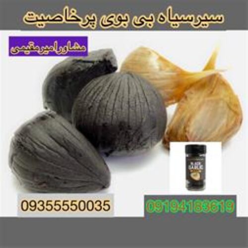 فروش سیر سیاه و فروش قهوه گانودرما در سراسر کشور