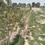 باغچه 900 متری سنددار
