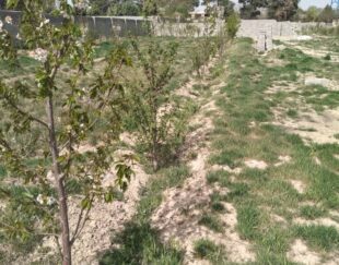 باغچه 900 متری سنددار