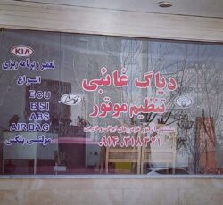دیاگ. تنظیم موتور.تعمیر و فروش ECU.شستشو انژکتور