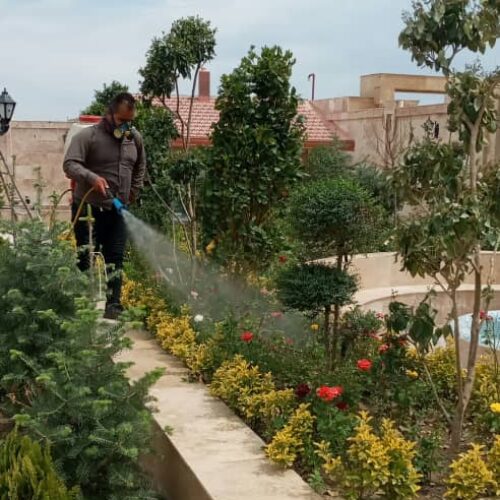 باغبانی گلکاری و سمپاشی درختان