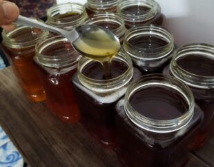 عسل طبیعی کندو
