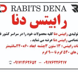 تولیدی رابیتس