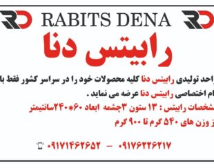 تولیدی رابیتس