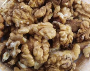 پخش عمده گردو تازه