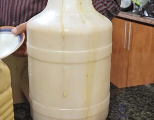 عسل طبیعی و مشتقات زنبور عسل