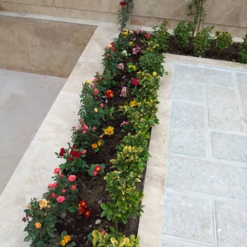 باغبانی گلکاری و سمپاشی درختان