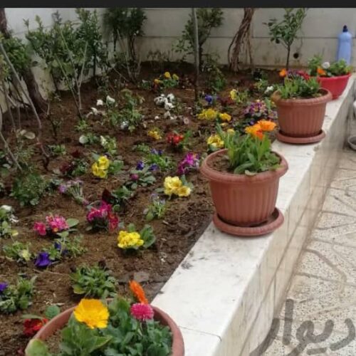باغبانی گلکاری و سمپاشی درختان