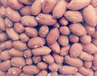 بادام درجه یک آستانه