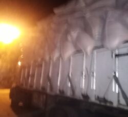 فروش کاه. ویونجه.