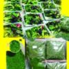 فروش مواد غذایی طبیعی وارگانیک