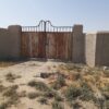 باغ باسند ومجوز گلخانه