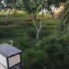 ویلا 730متری