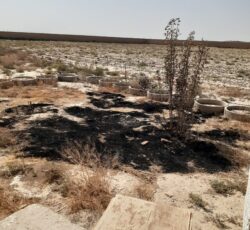 باغ باسند ومجوز گلخانه