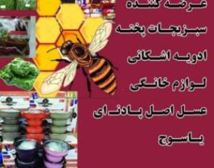 فروش مواد غذایی طبیعی وارگانیک