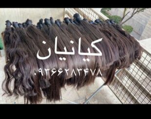 خریدار موی طبیعی