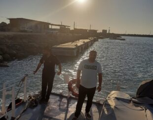 حمل و نقل بین المللی