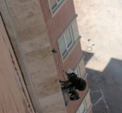 کار در ارتفاع عایق، پیچ رول پلاک، درز انقطاع، رنگ نما