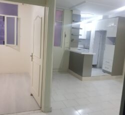 45 متر خوش نقشه شیک بر دامپزشکی