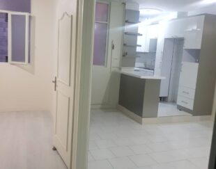 45 متر خوش نقشه شیک بر دامپزشکی
