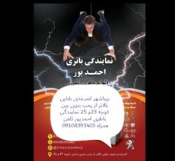 نمایندگی باطری احمدپور