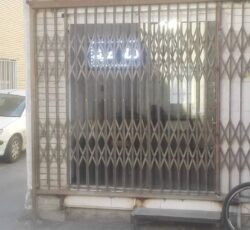 حفاظ های آکاردئونی شاخ گوزنی