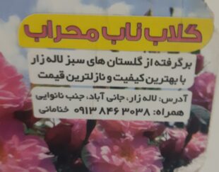 فروش گلاب وعرقیجات ارگانیک