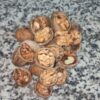 نهالستان بزرگ برادران اجرلو