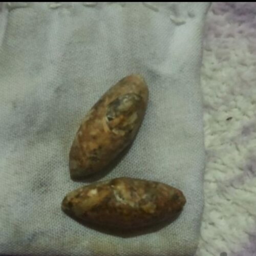 مهره اصل