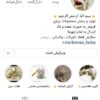 دهکده برنز رمانتیک