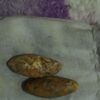 مهره اصل