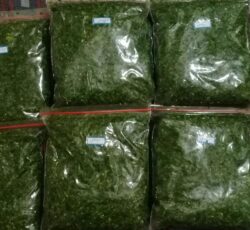 سبزی قرمه شهرستان رامهرمز با کیفیت خوش طمع وعطر زیاد