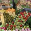دیجی تولد عروسی کافه تشریفات 0تا100