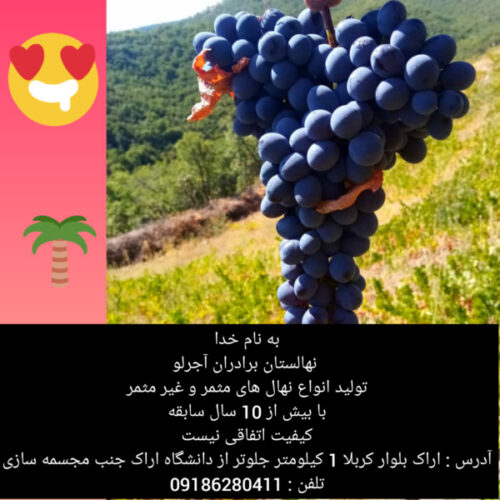 نهالستان بزرگ برادران اجرلو
