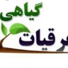 عرقیات گیاهی صد در صد خالص