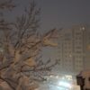 اجاره روزانه آپارتمان و سوییت شمشک