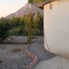 فروش باغ چهاردیواری بادرختهای 6 ساله