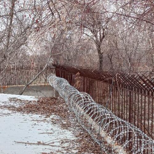حصار کشی حیدری