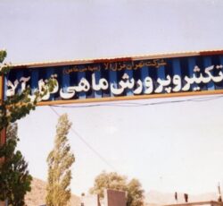 پرورش ماهی قزل آلا