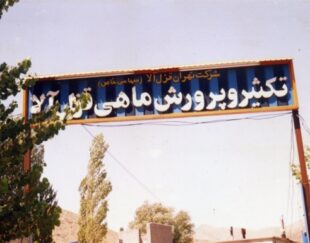 پرورش ماهی قزل آلا