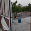 فروش باغ چهاردیواری بادرختهای 6 ساله