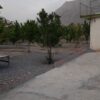 فروش باغ 1800متری
