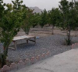 فروش باغ   1800متری